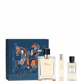 Hermes Terre D'Hermès - Eau...