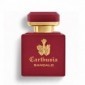 Carthusia Intenso Di Sandalo - Profumo Unisex 50 Ml Vapo