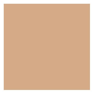 Clinique Anti-Blemish Solutions Clearing Concealer - 03