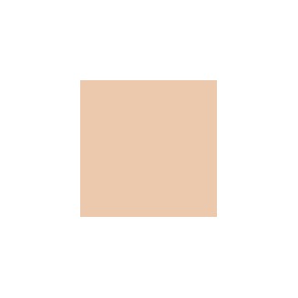 Estee Lauder Double Matte Oil-Control Pressed Powder - 01 Light