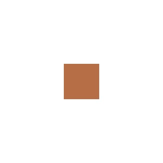 Estee Lauder Bronze Goddess Powder Bronzer - 02 Medium