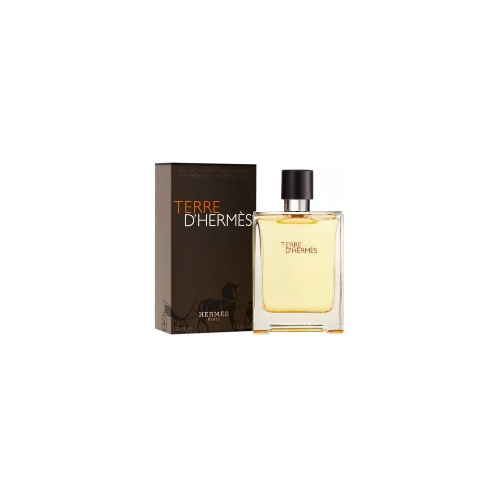 Hermès Terre d'Hermès Eau de Toilette 500ML 