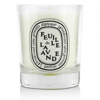Diptyque Scented Candle...