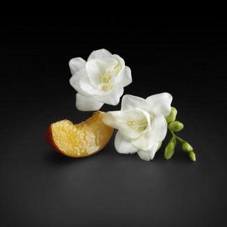 Boss The Scent for Her Eau De Parfum 100ML