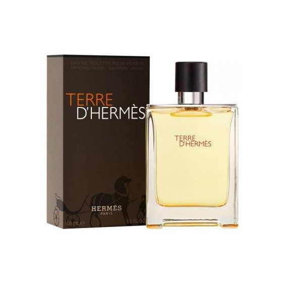 Hermès Terre d'Hermès Eau de Toilette 50 ml