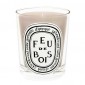 Diptyque Feu De Bois Candela Profumata 190 gr