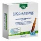 Esi Biocollagenix 30 Ampolle Trattamento Anti-Età