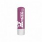 Euphidra Lz3 Propoli Stick Protettivo 4,5 G