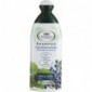 L'Angelica Officinalis Shampoo Seboregolatore Ortica E Mirto Per Capelli Grassi 250 Ml