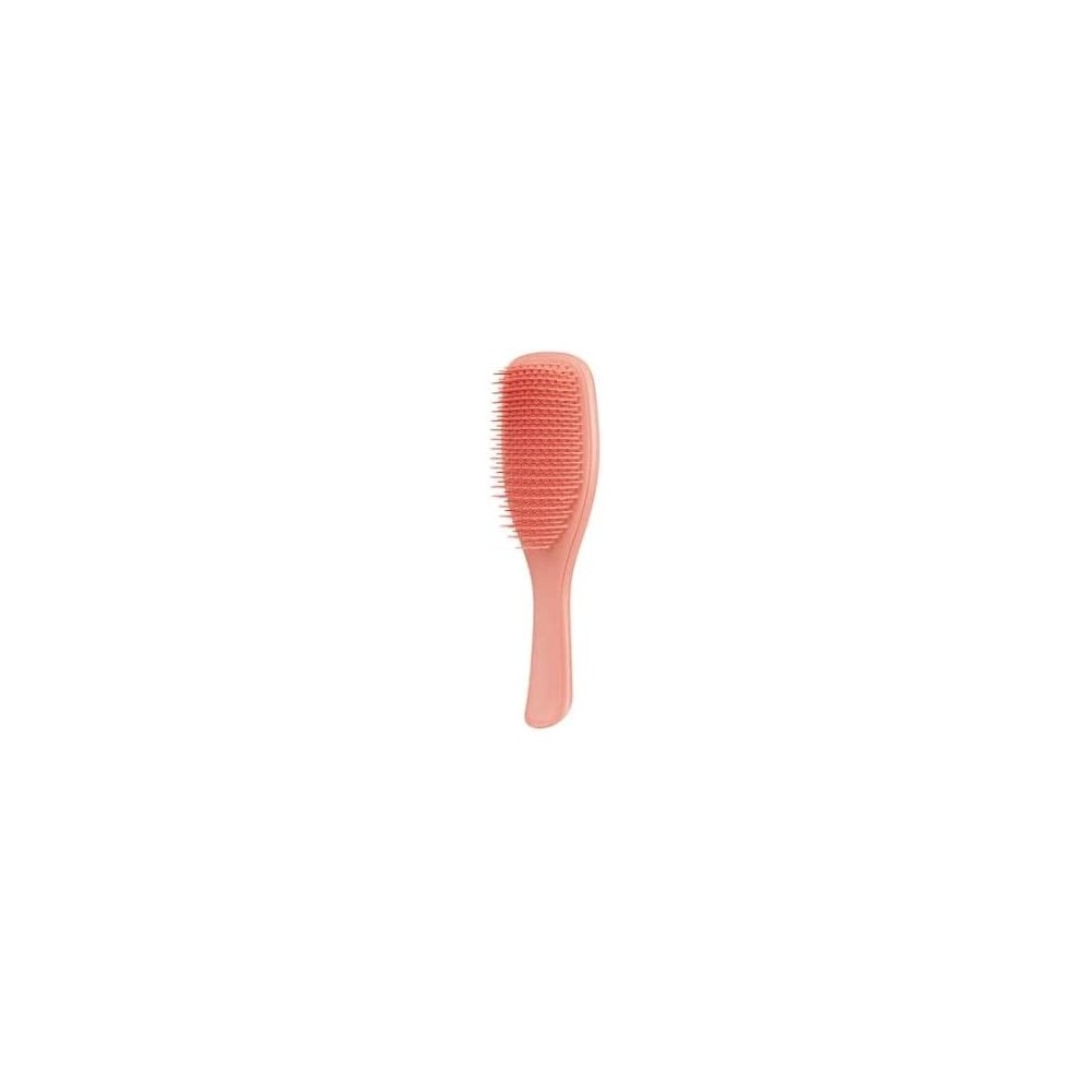 Tangle Teezer The Wet Detangler Fine & Fragile Spazzola Districante Sweet Cinnamon 