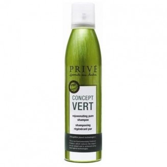 Prive Concept Vert...