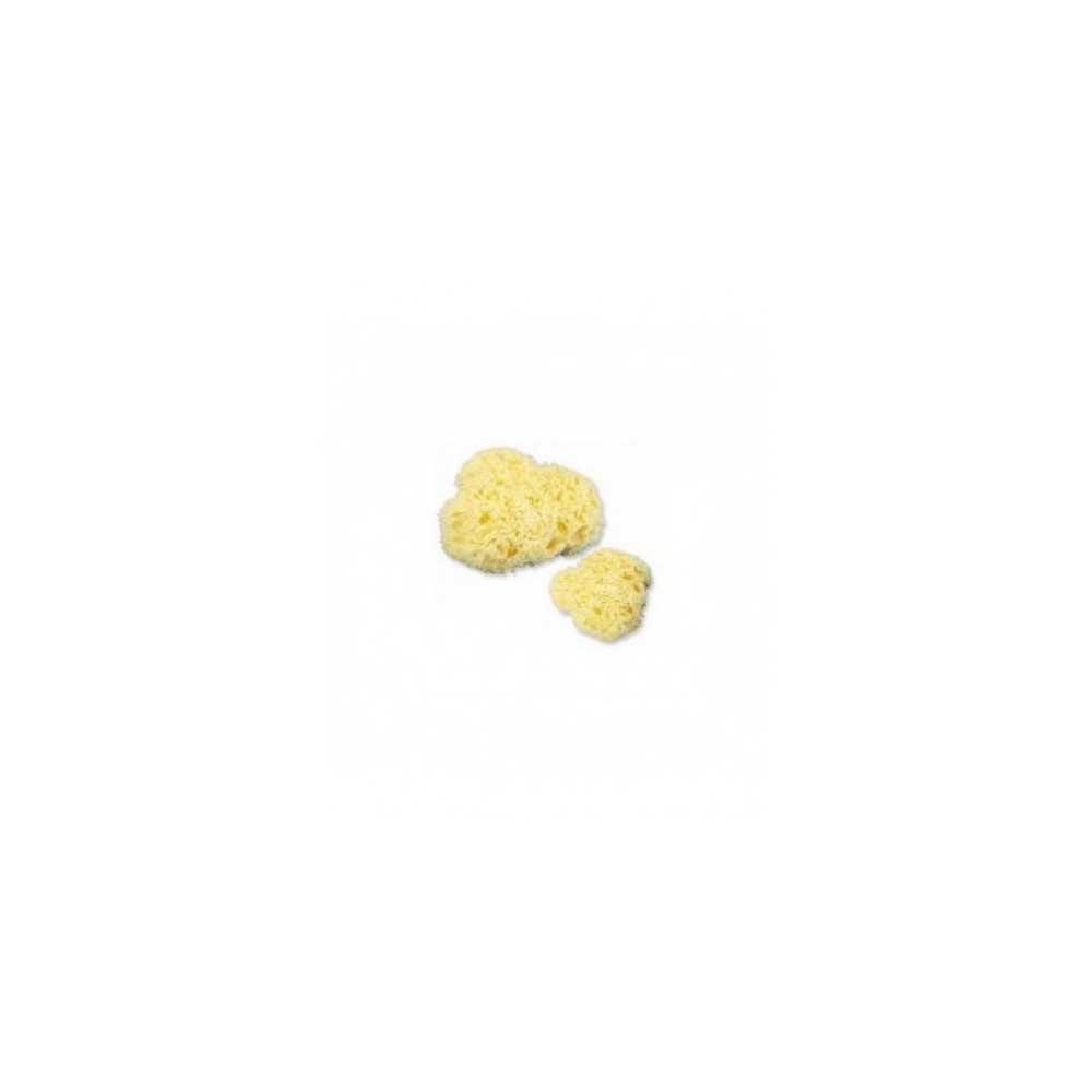 Farmac-Zabban Spugna Naturale N. 4 Extra Grande 
