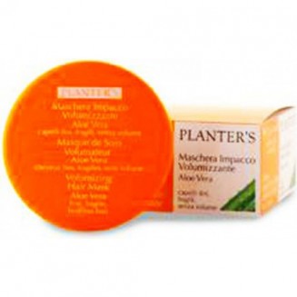 Planter S Aloe Vera...