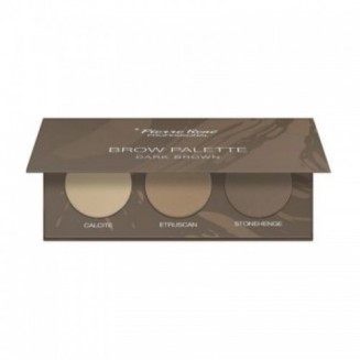 Pierre Rene Brow Palette...