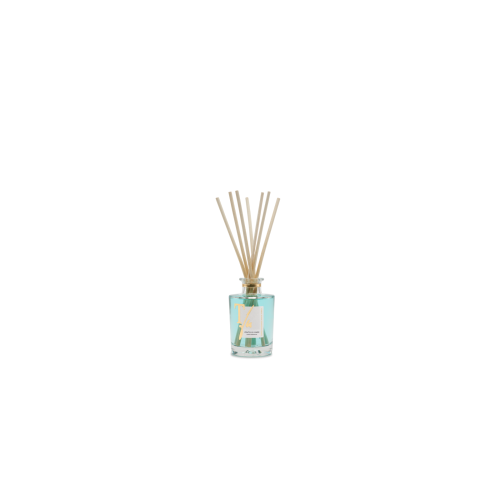 Teatro Fragranze Uniche Vento Di Mare Diffusore Con Bastoncini 100 Ml 