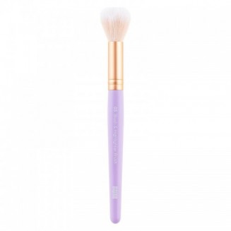 Nejha Blush & Highlighter...
