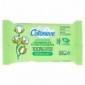 Cotoneve 12 Salviette Intime con Mentolo e Estratto di Salvia