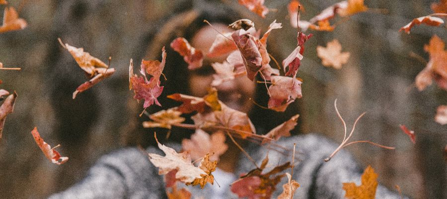 Caduta capelli autunnale caduta capelli autunnale