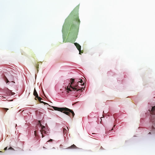 Non il solito bouquet!